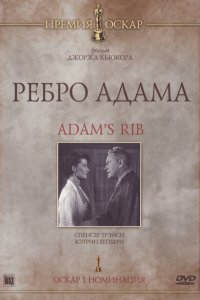  Ребро Адама 